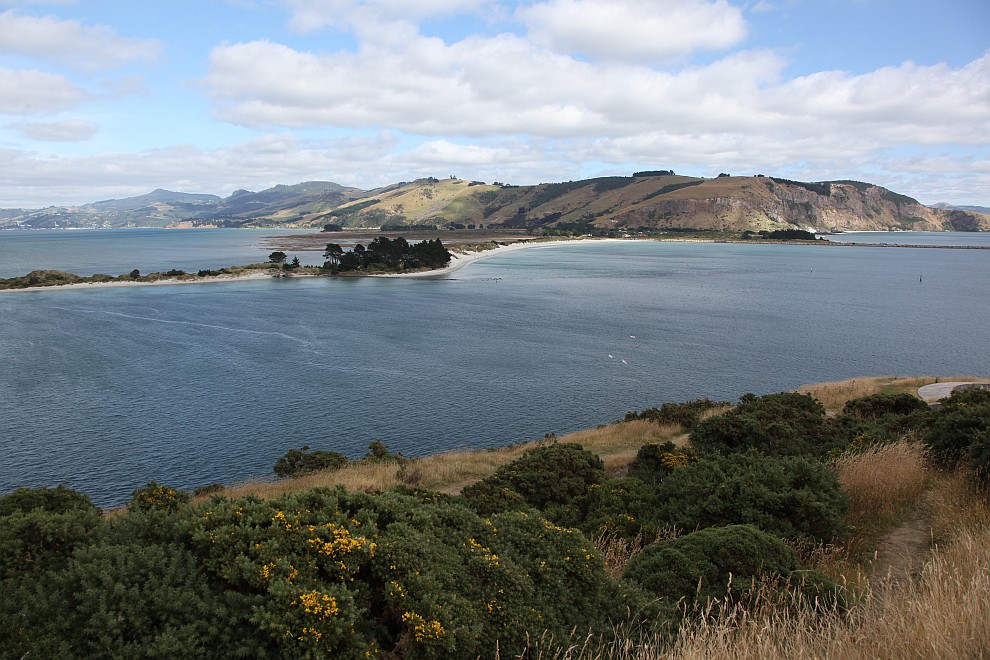 Otago Habour